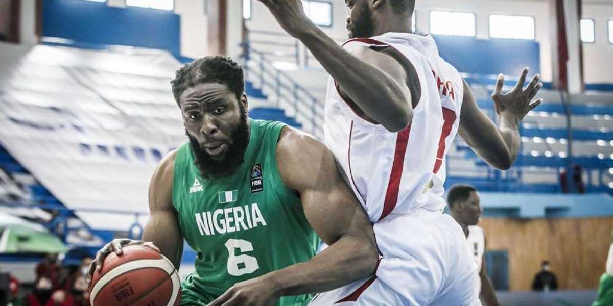 [Nigeria] Hard work key to Olympics, Afrobasket successes- Diogu