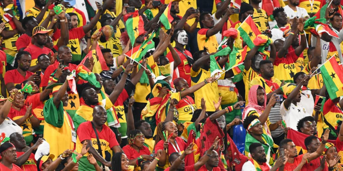 Unleashing the Roar: The Rise of African Fans
