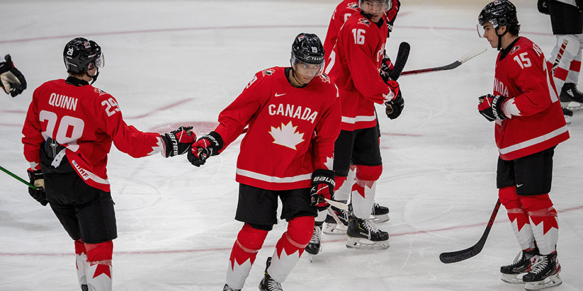 Canada's enduring love for hockey may face a shifting landscape