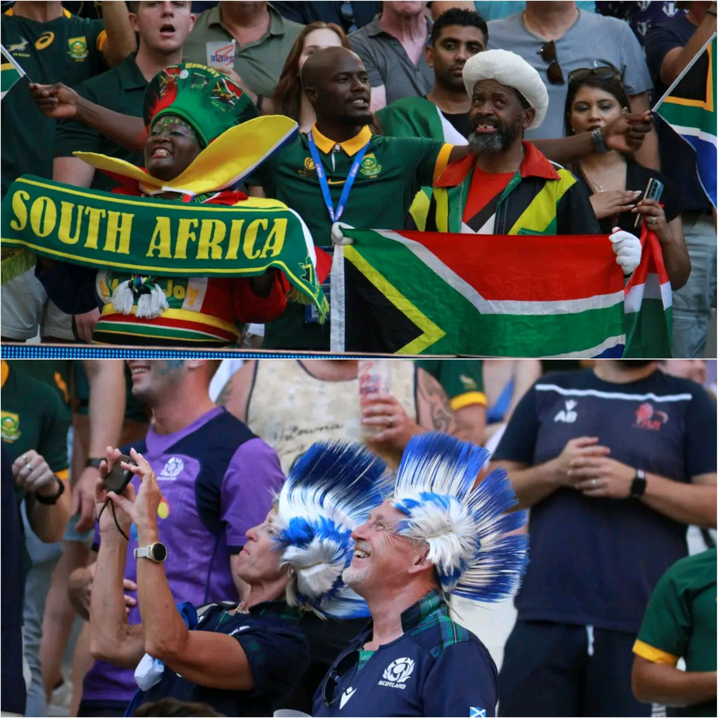 Scotland will face Springboks on September