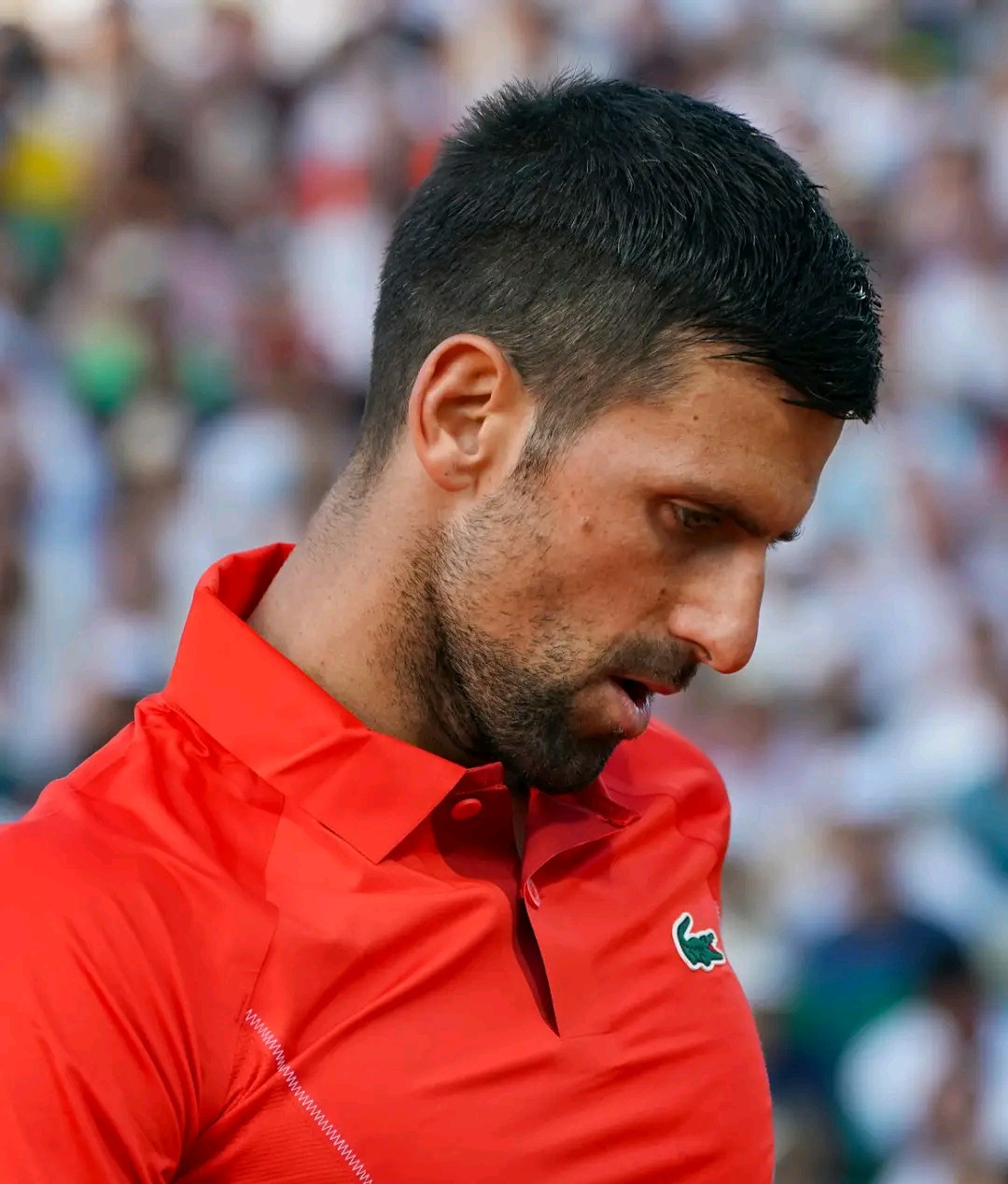 Djokovic atribuye su derrota a incidente previo
