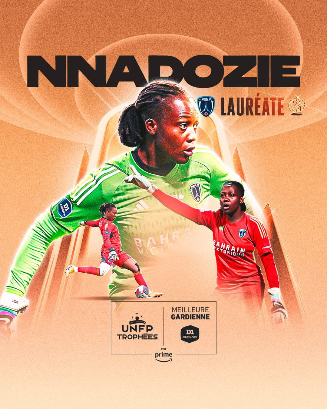 Nigerian Goalkeeper Wins France UNFP Awards