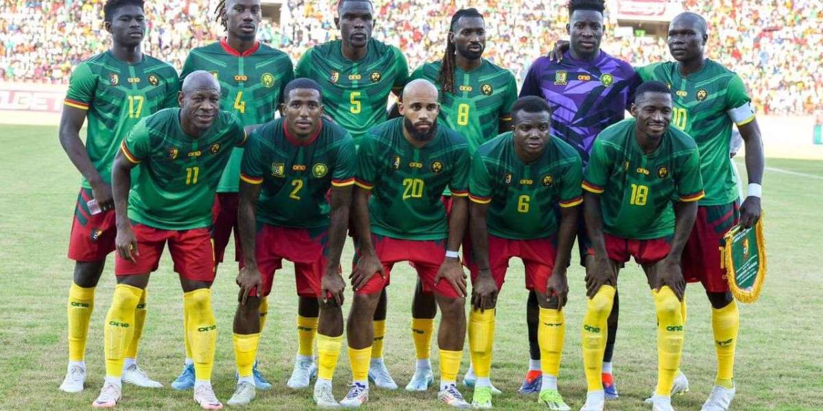 ZIMBABWE vs CAMEROUN : il n’y aura pas de reconnaissance d’aire de jeu