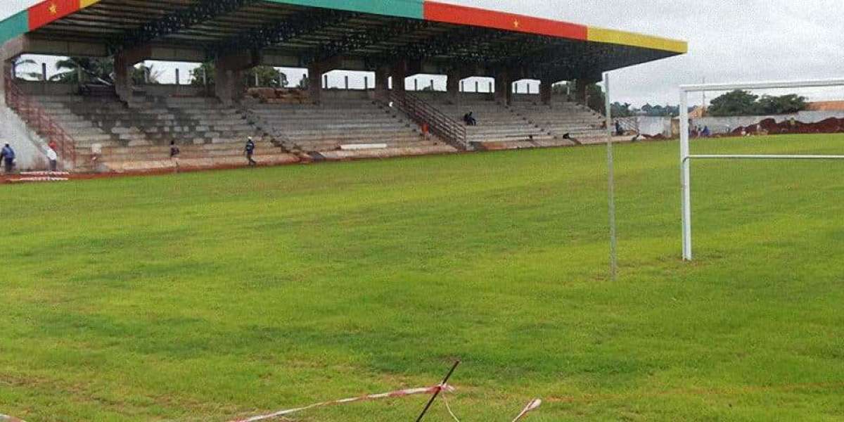 Infrastructures: le canon sportif de Yaoundé a désormais son "stade".