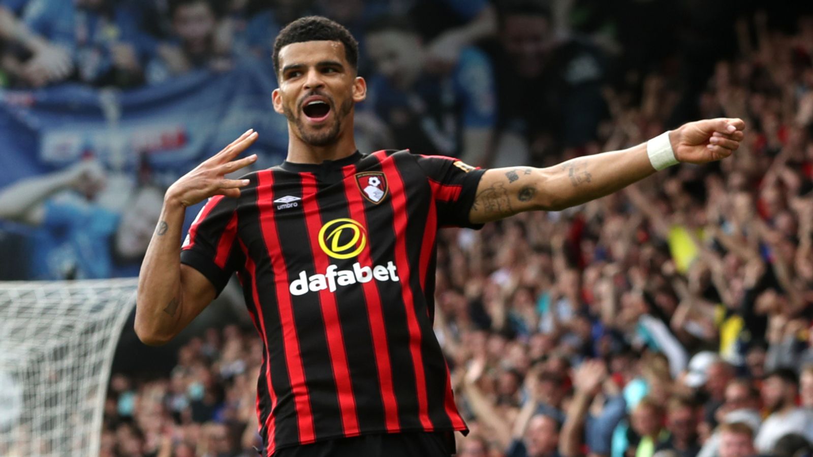 Dominic Solanke et Bournemouth : Les Cherries se renforcent