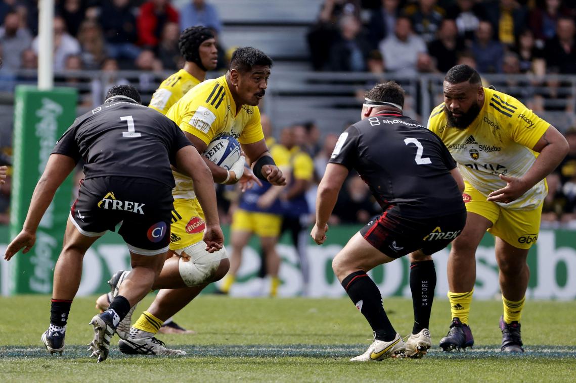 Toulouse et La Rochelle prêts pour la Champions Cup