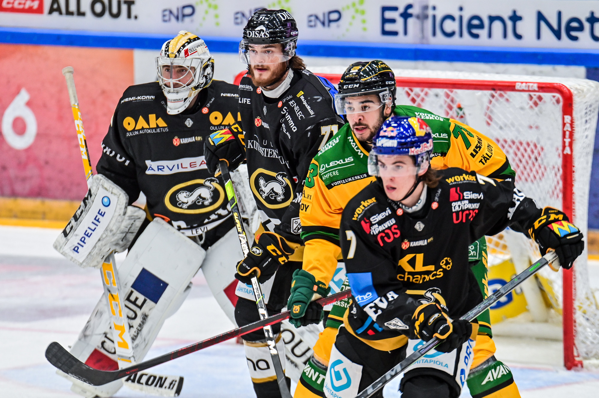 Nuoret Leijonat ja Kärpät: Uusia Haasteita ja Vahvistuksia