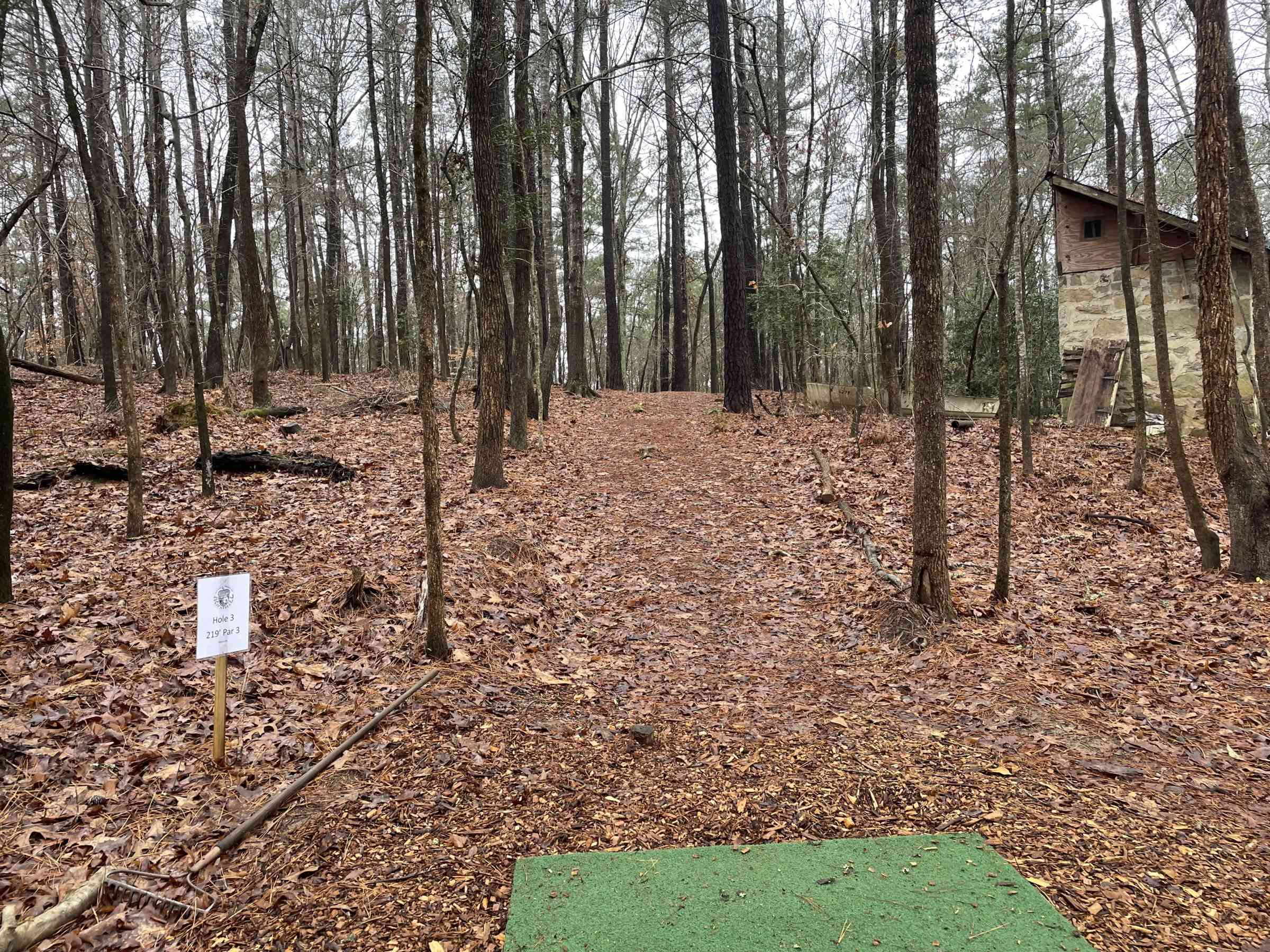 Acorn Hill Flex XIII: A Disc Golf Showdown in Raleigh