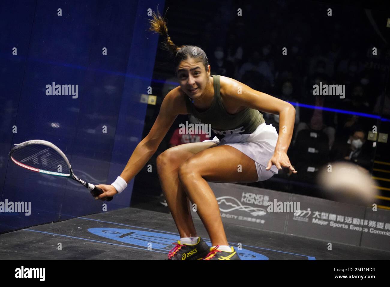 ElSherbini and El Hammamy Shine at Texas Open 2025