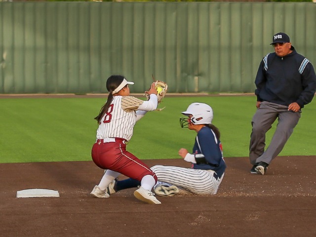 Tiffin Softball Falls Short Against Saginaw and Barry