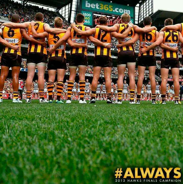 Hawthorn Hawks Aim High in 2025 AFL Season