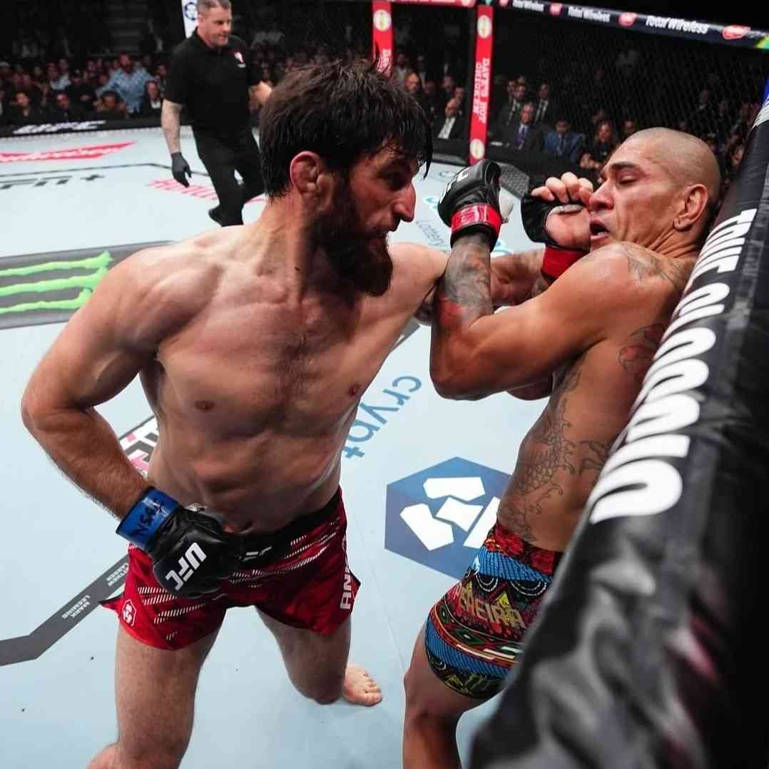 Alex Poatan x Magomed Ankalaev - UFC 313 - Comentários ...