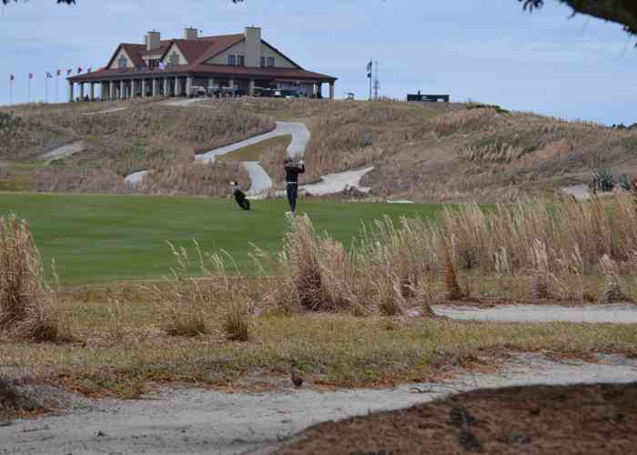 Hootie at Bulls Bay: Ninkovic Climbs the Leaderboard