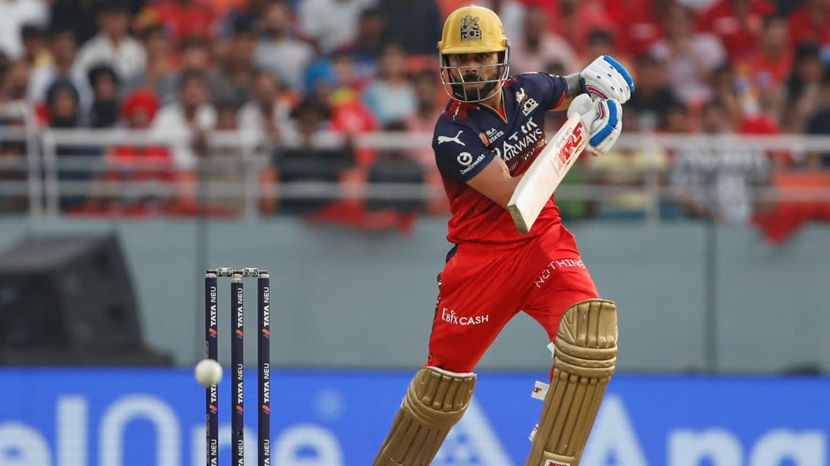 RCB Tops IPL 2025 Standings with Kohli`s Brilliance