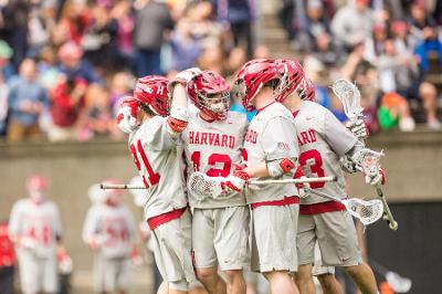 Harvard Faces Princeton in Ivy League Lacrosse Showdown