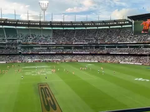 Hawks and Lions Set for MCG Showdown