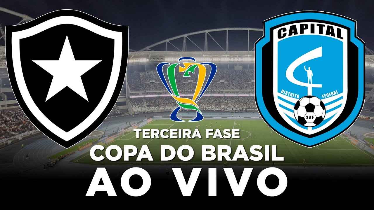 Botafogo brilha e avança na Copa do Brasil