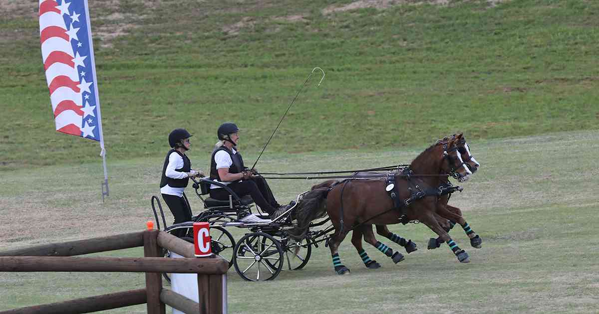 Reitz Triumphs at 2025 USEF Driving Championships