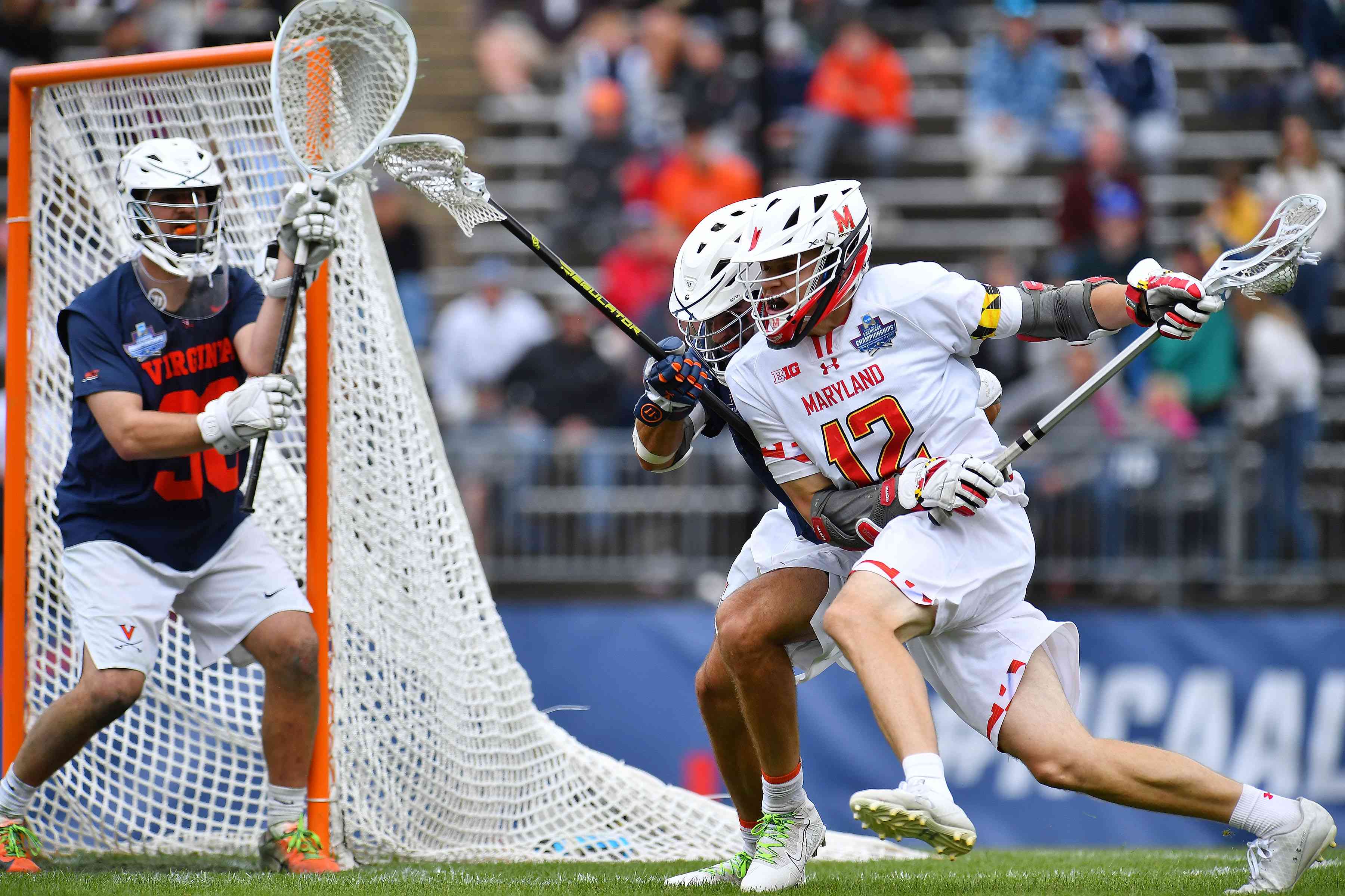 UAlbany and Towson Shine in 2025 Men`s Lacrosse Season