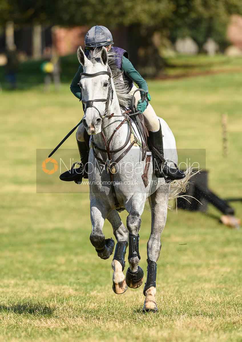 Piggy March Triumphs at Osberton International Trials