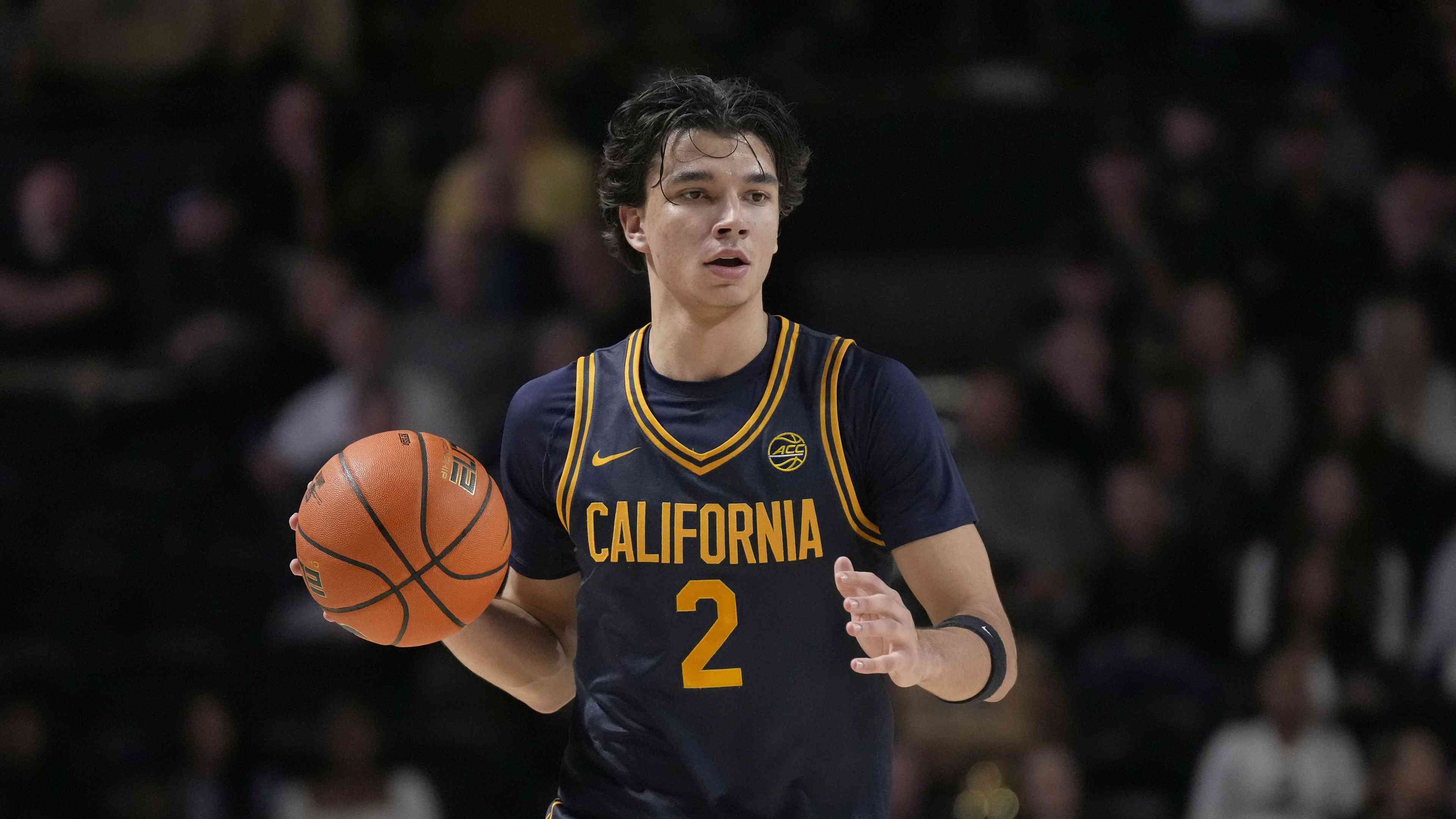 Arenas Avoids Injury, Stojaković Joins Illinois
