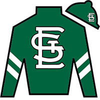 Kentucky Derby 2025: Sandman Shines Amidst Contenders