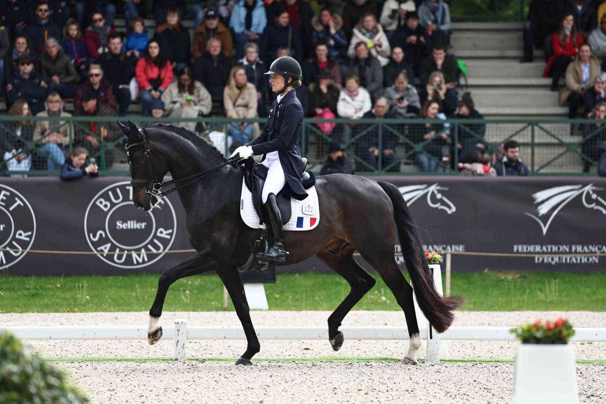 Coupe des Nations à Compiègne : Équitation en fête