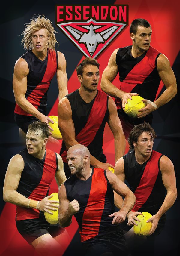 Essendon Bombers Triumph in Thrilling AFL Round 9