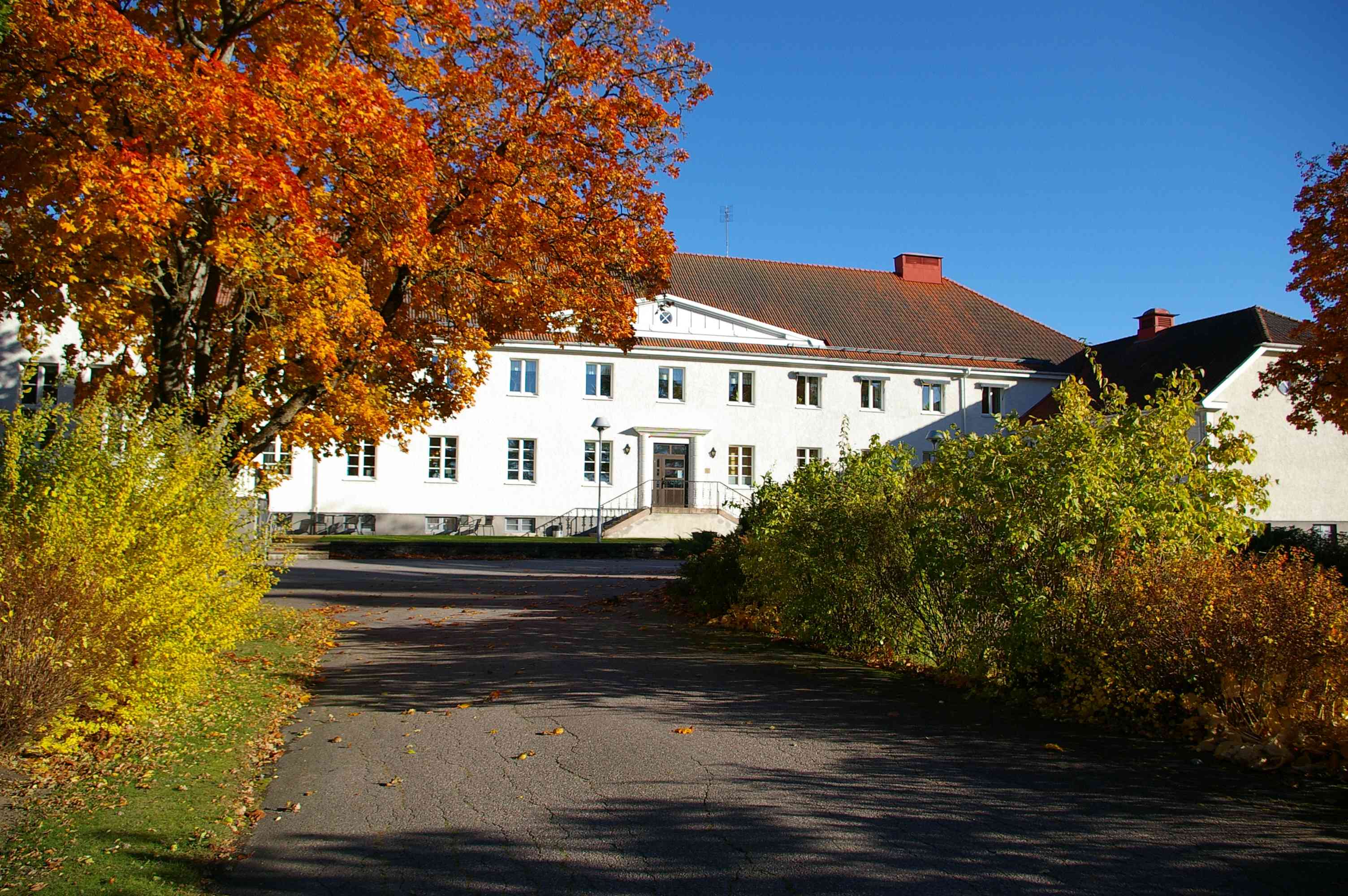 Parahandbollsläger på Vara folkhögskola i augusti