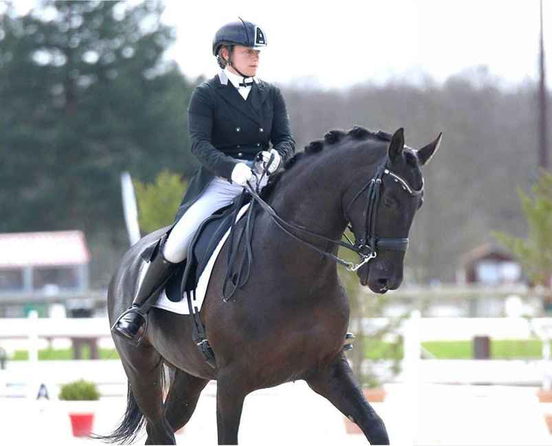 Événements équestres : La Draceenne et CSI 3 à Kessel