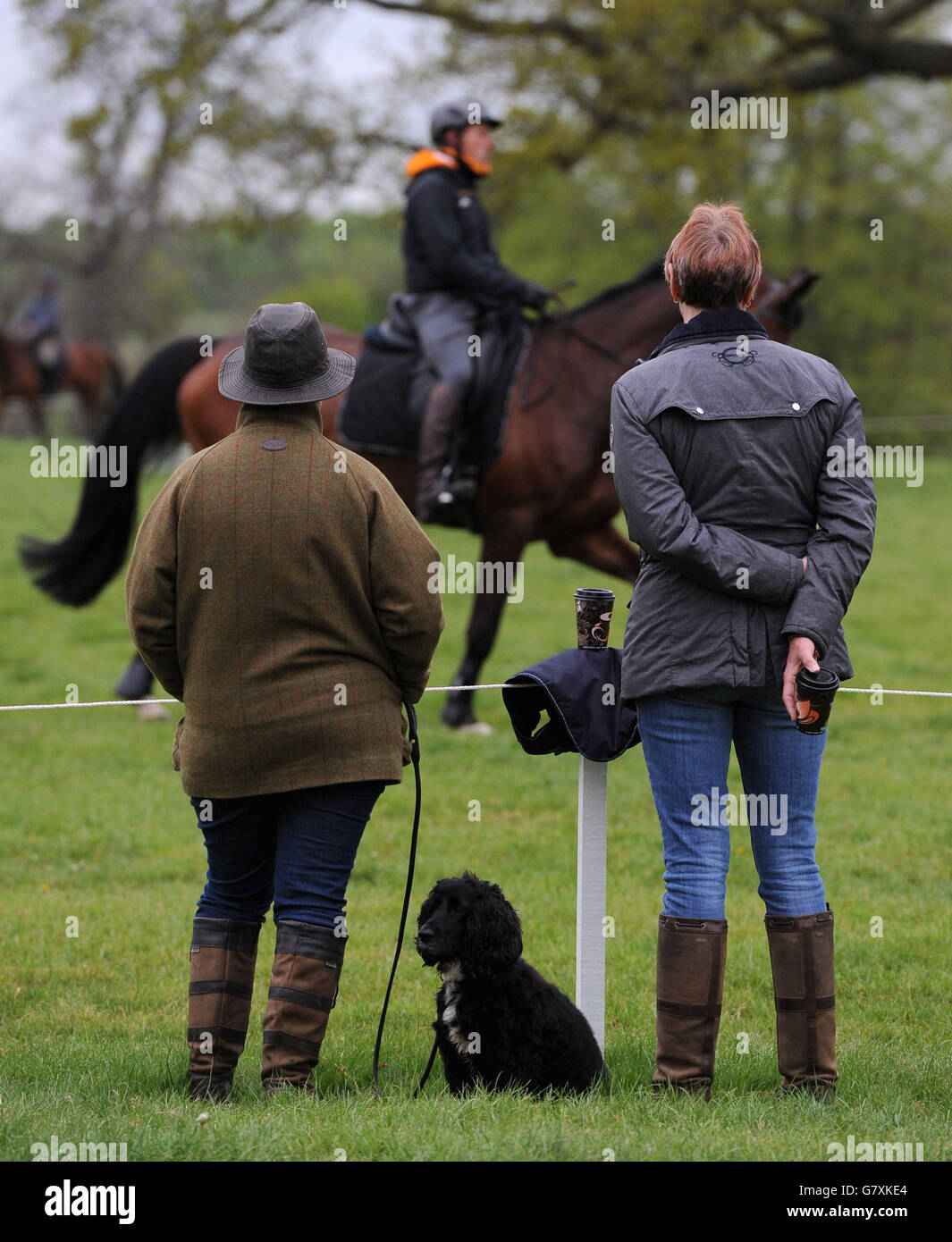 Badminton Horse Trials Set to Dazzle Equestrian Fans