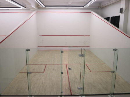 Kekosongan Berita Squash di Indonesia: Apa yang Terjadi?
