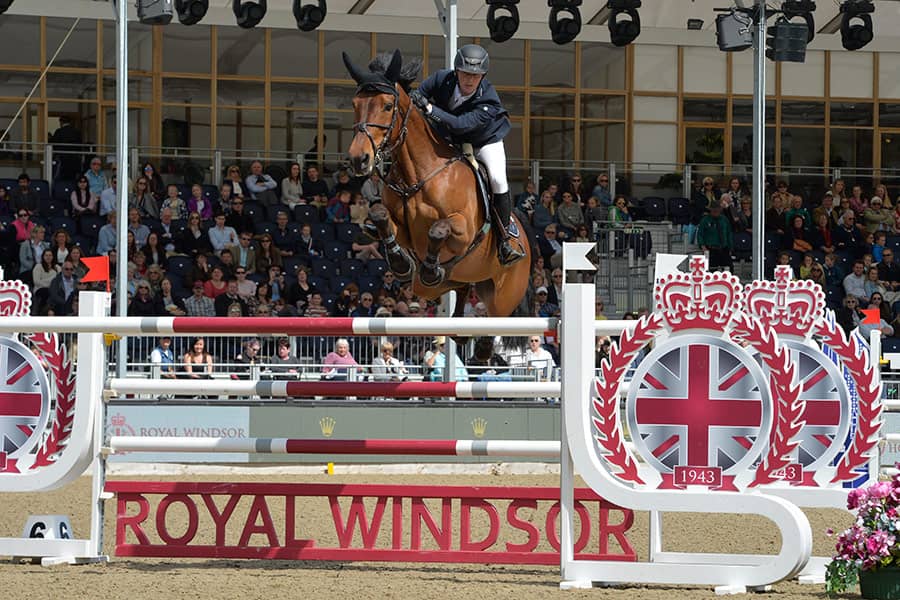 Dartmoor brille au Royal Windsor Horse Show