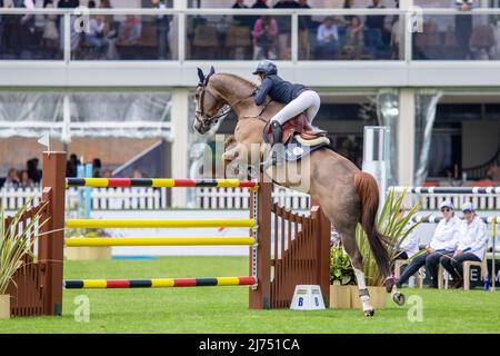 Mégane et Crooner Tame brillent au Jumping international