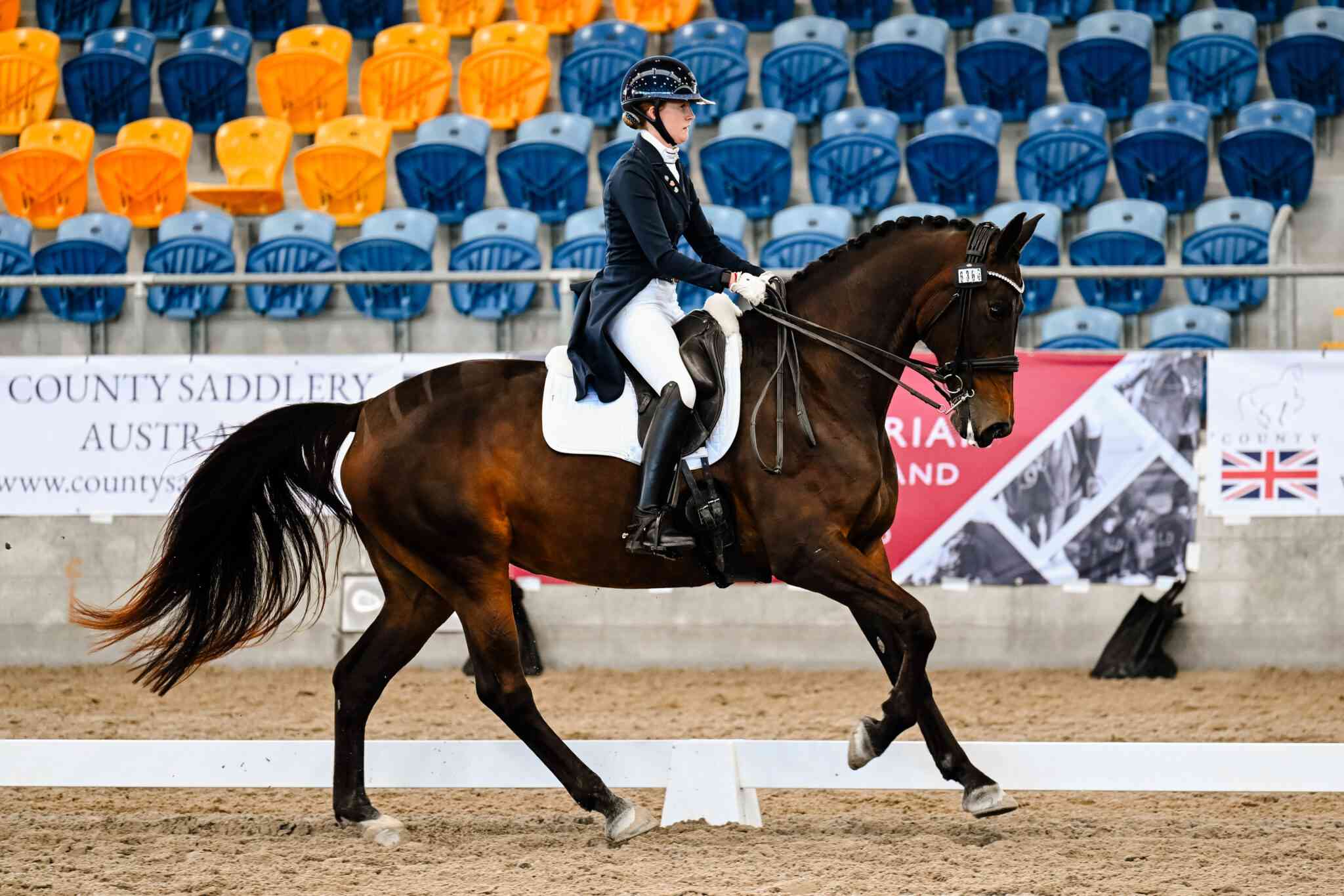 Lanning Shines as Dressage Star at Addington Premier League