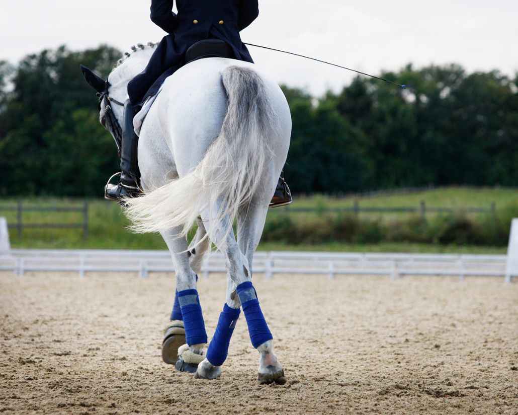 Équitation : Le mystère des compétitions au Royaume-Uni