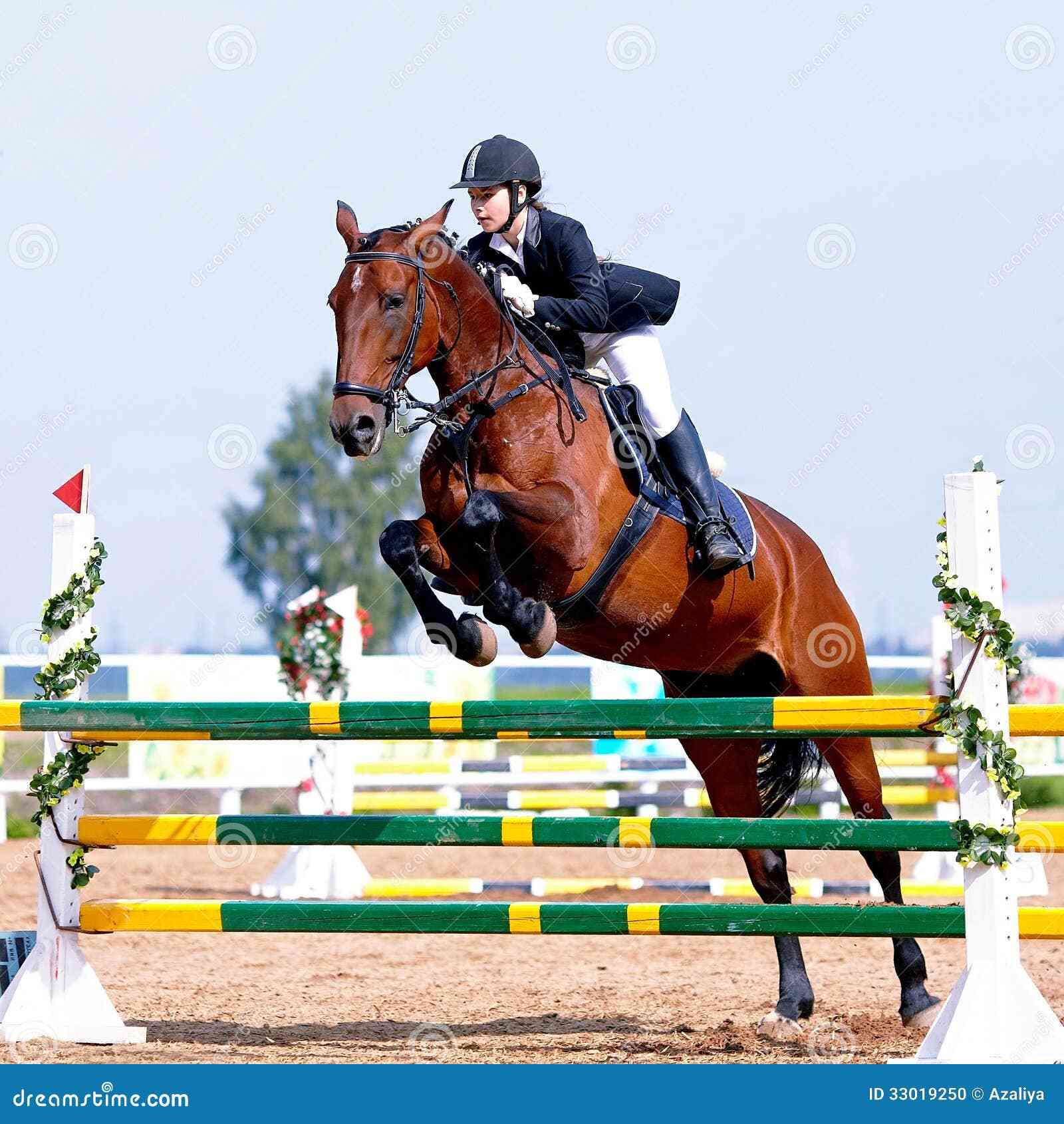 Equestrian Sports Awaiting Action Amid Racing Highlights