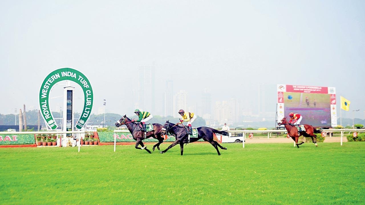 BIG BAY Shines at Zavaray S. Poonawalla Colts Stakes