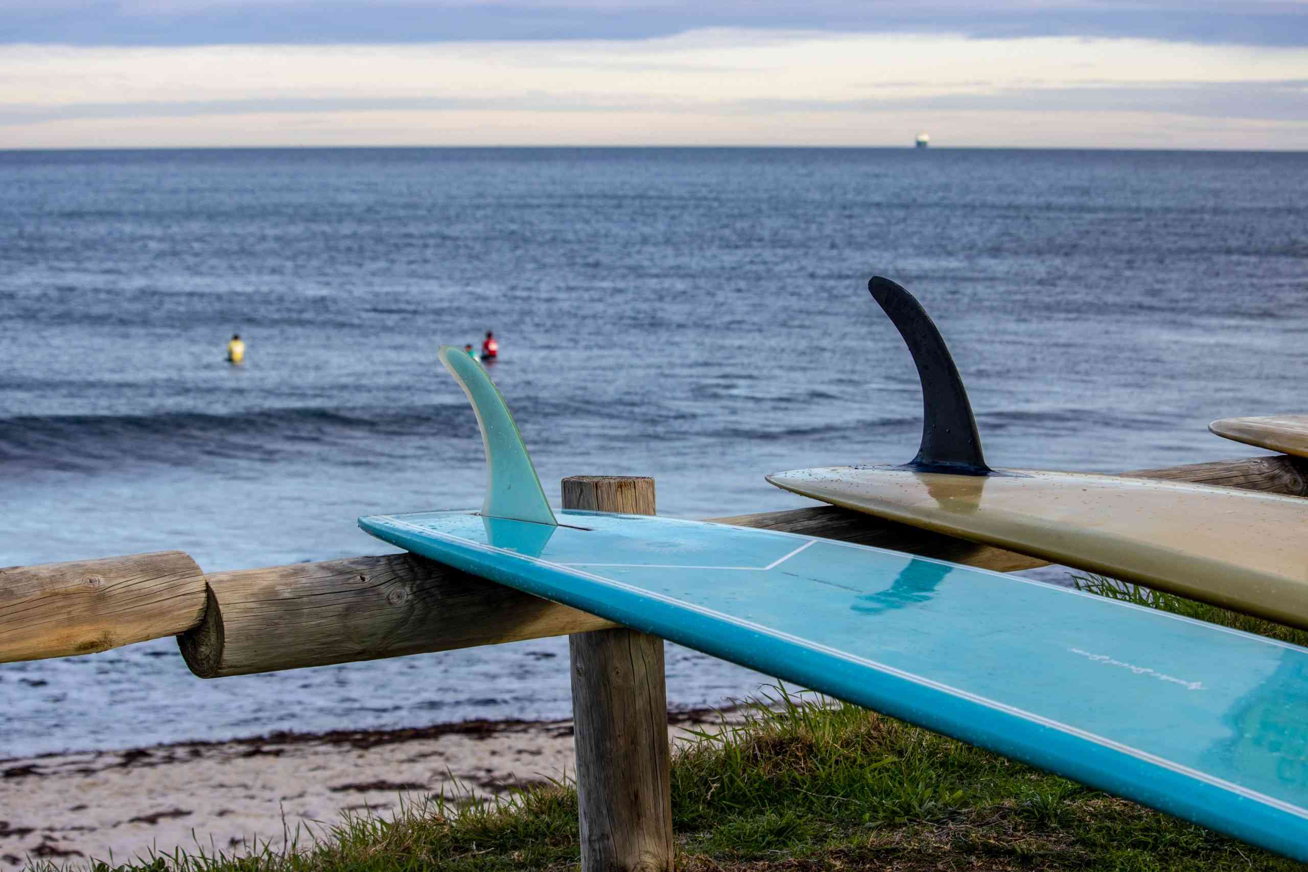 Whalebone Longboard Classic Set to Thrill Cottesloe Beach
