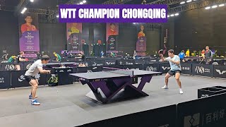 中国乒乓球队在WTT美国大满贯强势出击