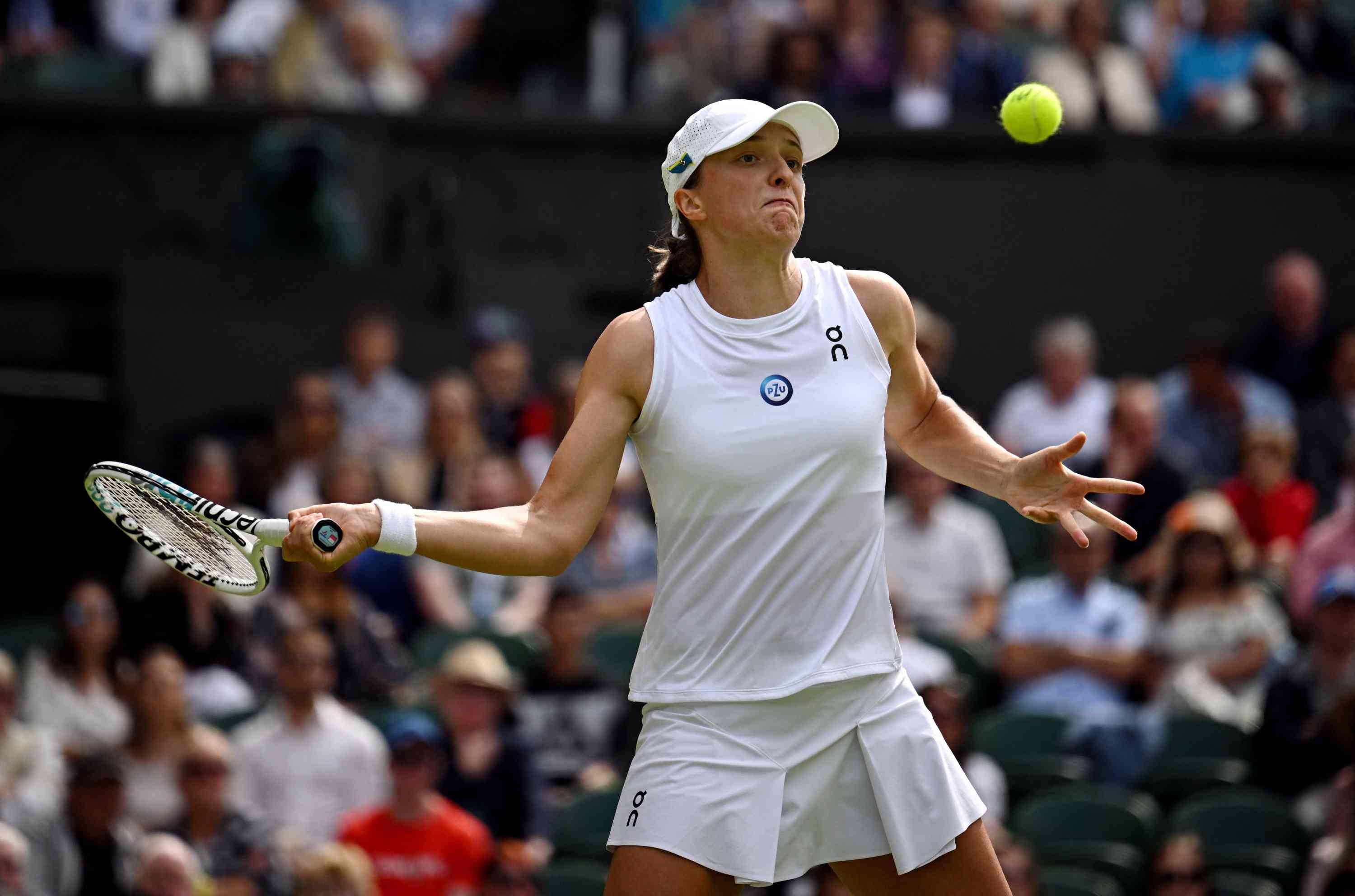 Djokovic and Swiatek Shine at Wimbledon 2025