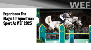 Experience the Magic of HORSES 2025 Festival