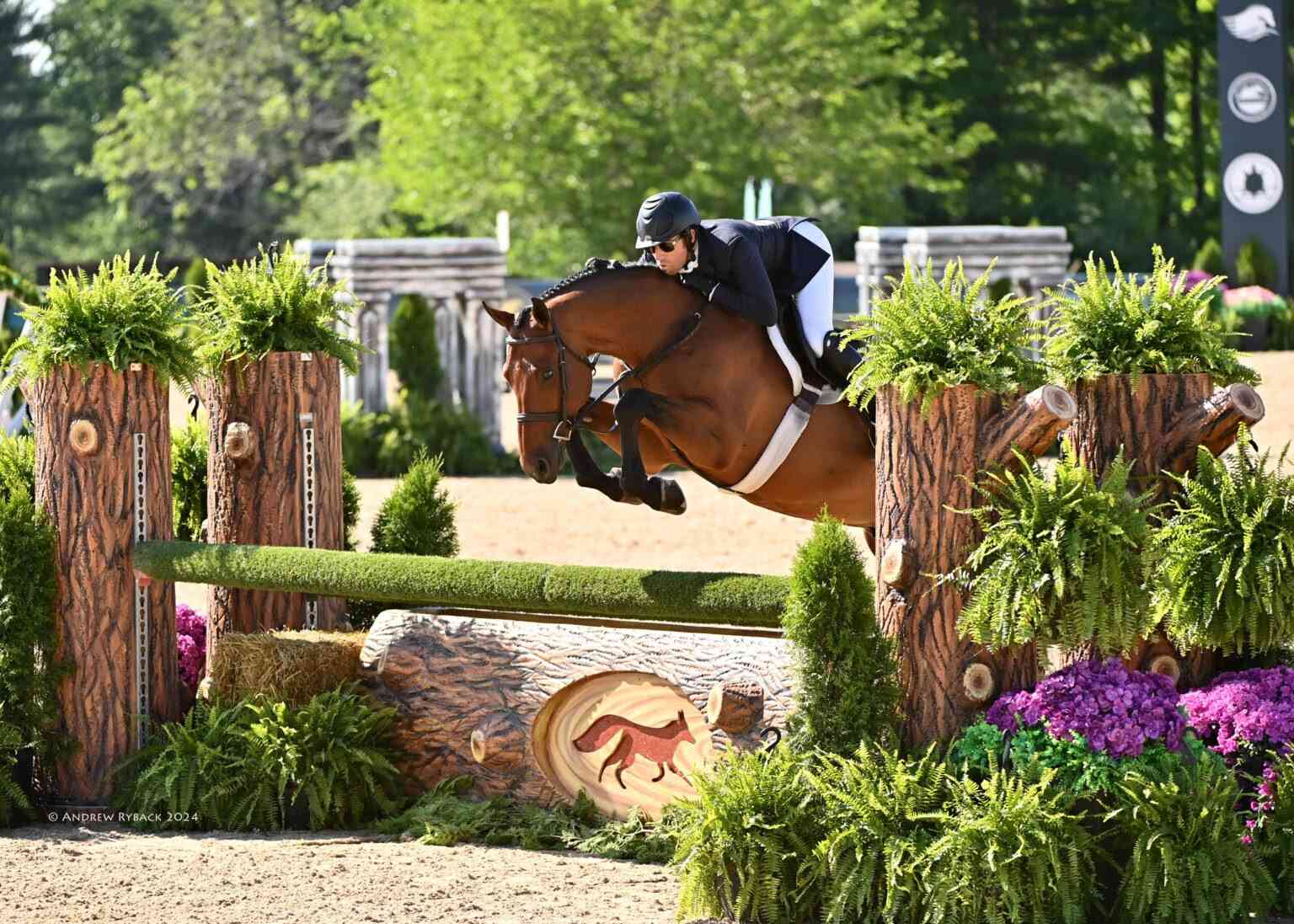 Nick Haness Dominates WCHR Central Hunter Spectacular