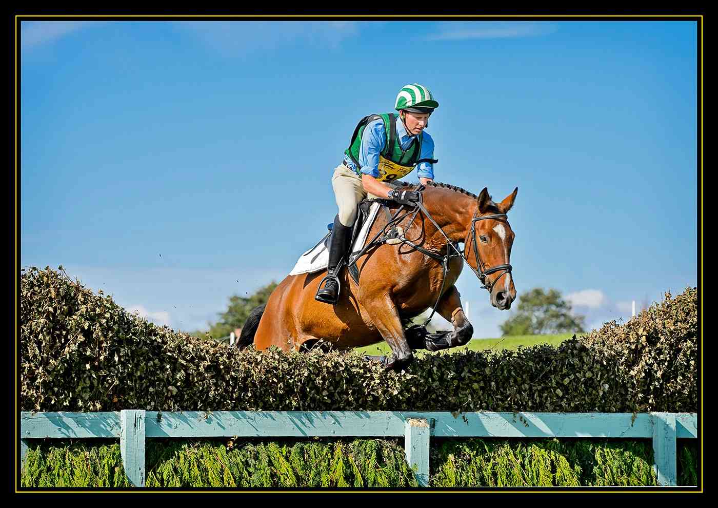 Triple Triumph at Kelsall Hill Equestrian